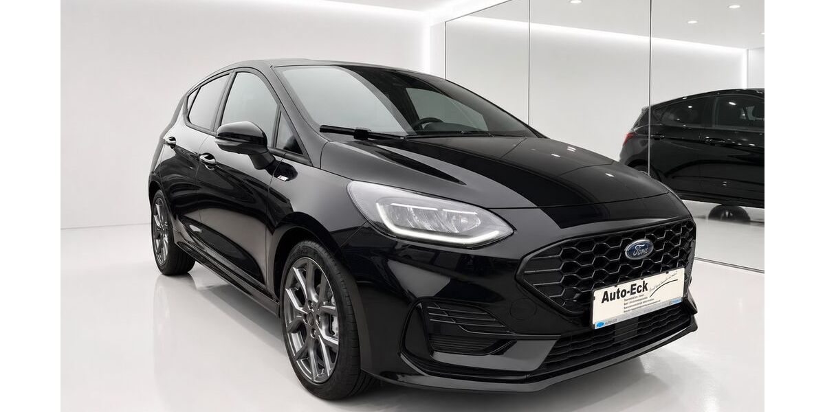 Ford Fiesta 8.990 km 20.900 &euro; Heppenheim 64646