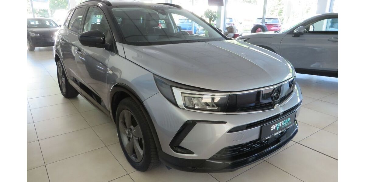 Opel Grandland (X) 30.100 km 21.480 &euro; Heidelberg 69121