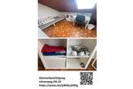 Etagenwohnung Schwetzingen - 1 Zimmer, 430&euro; | Angebot:21551634