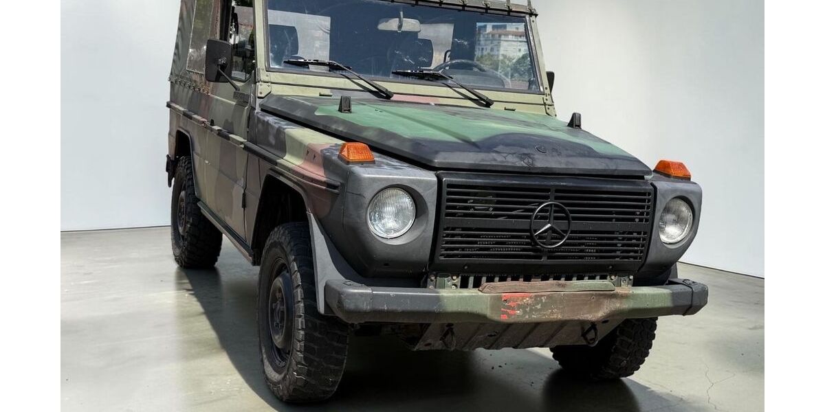 Mercedes-Benz G 250 93.000 km 24.900 &euro; Heidelberg 69115