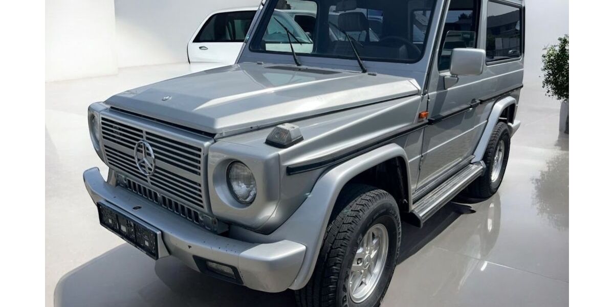 Mercedes-Benz G 300 80.000 km 19.499 &euro; Speyer 67346
