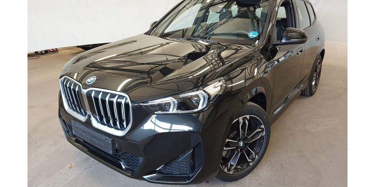 BMW X1 17.581 km 49.880 &euro; Speyer 67346