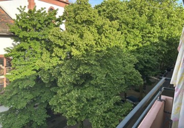 Wohnung Mannheim Fahrlach - 3 Zimmer, 67 m&sup2;, 970&euro; | Angebot:26703746