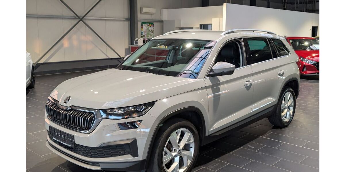 Skoda Kodiaq 115.000 km 28.900 &euro; Weinheim 69469
